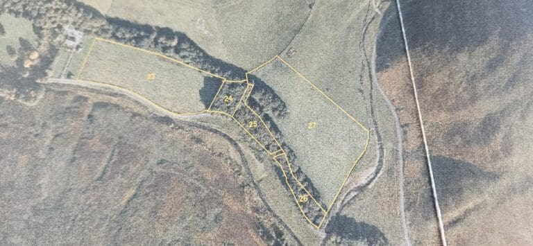 WhatsApp Image 2026-04-02 at 09.31.22