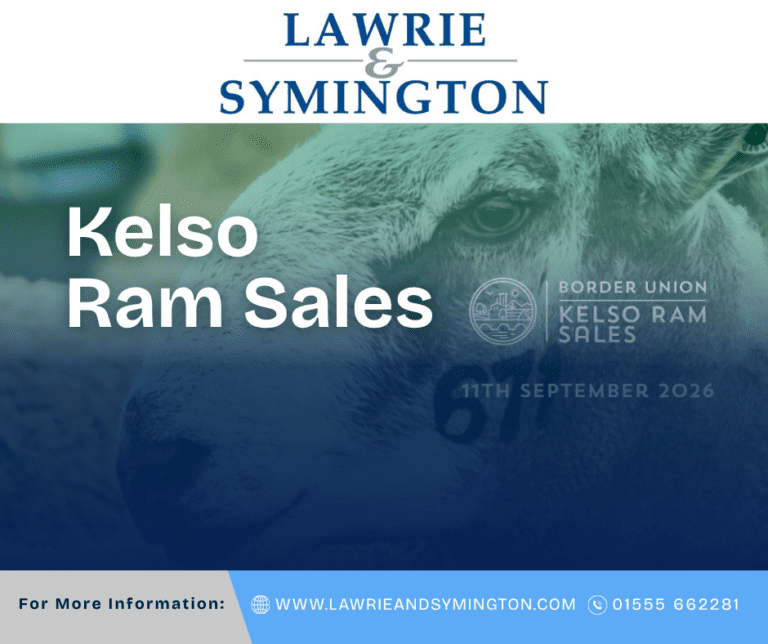Kelso Ram Sales 2026