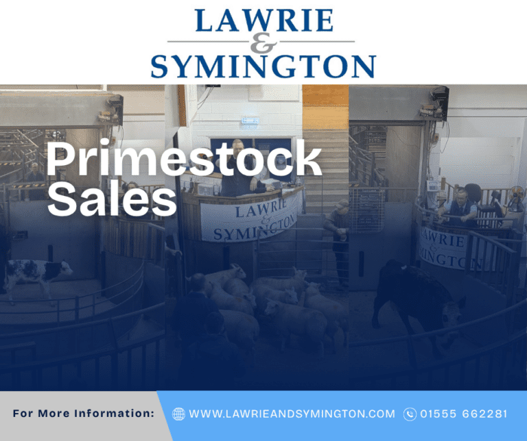 Primestock 2026